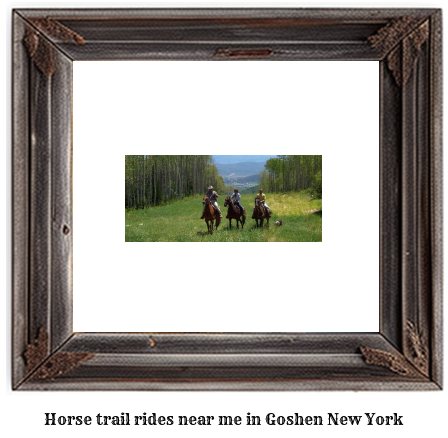 horse trail rides near me in Goshen, New York